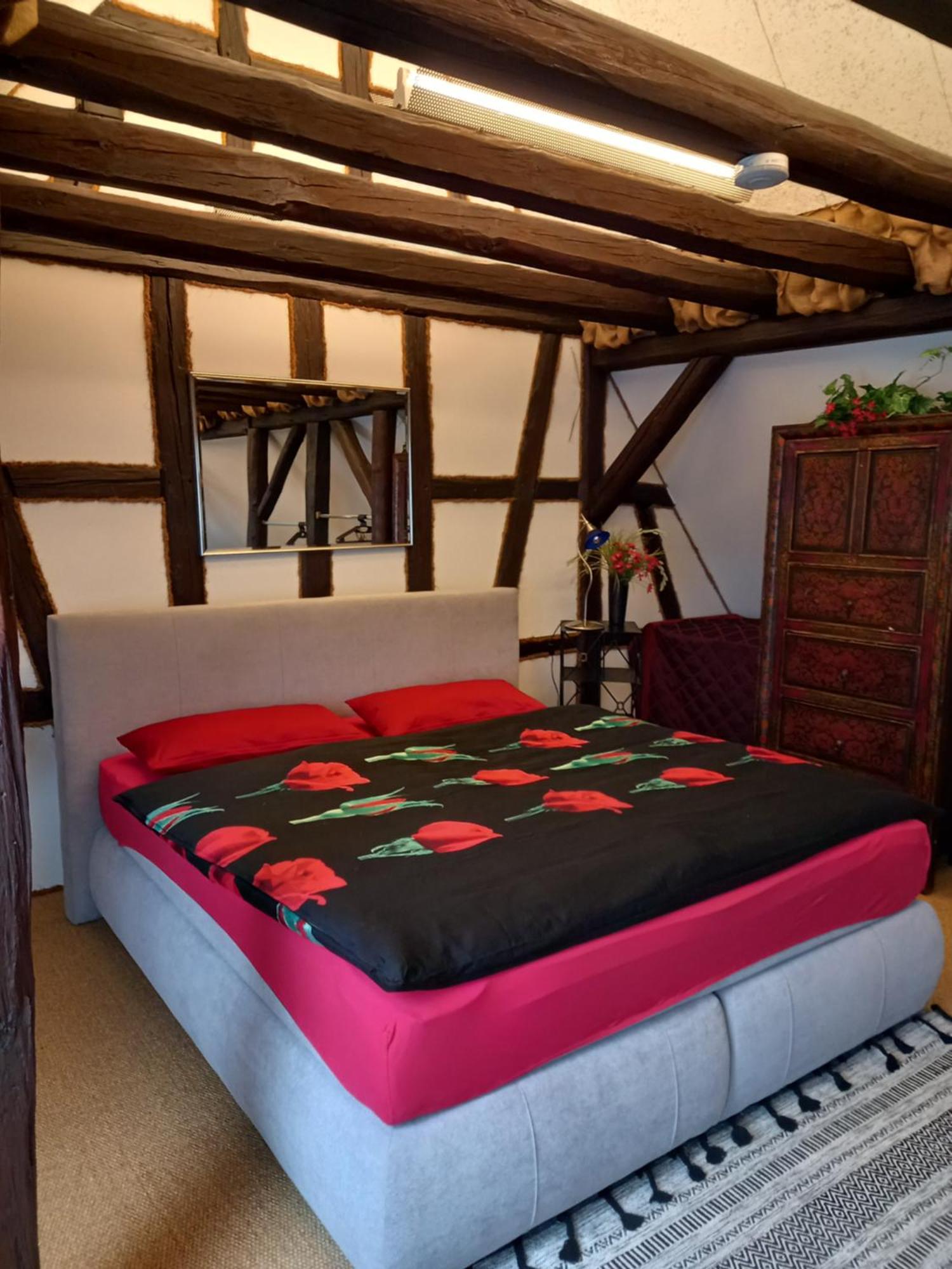 Loft Ziegelei Apartment Modautal Luaran gambar