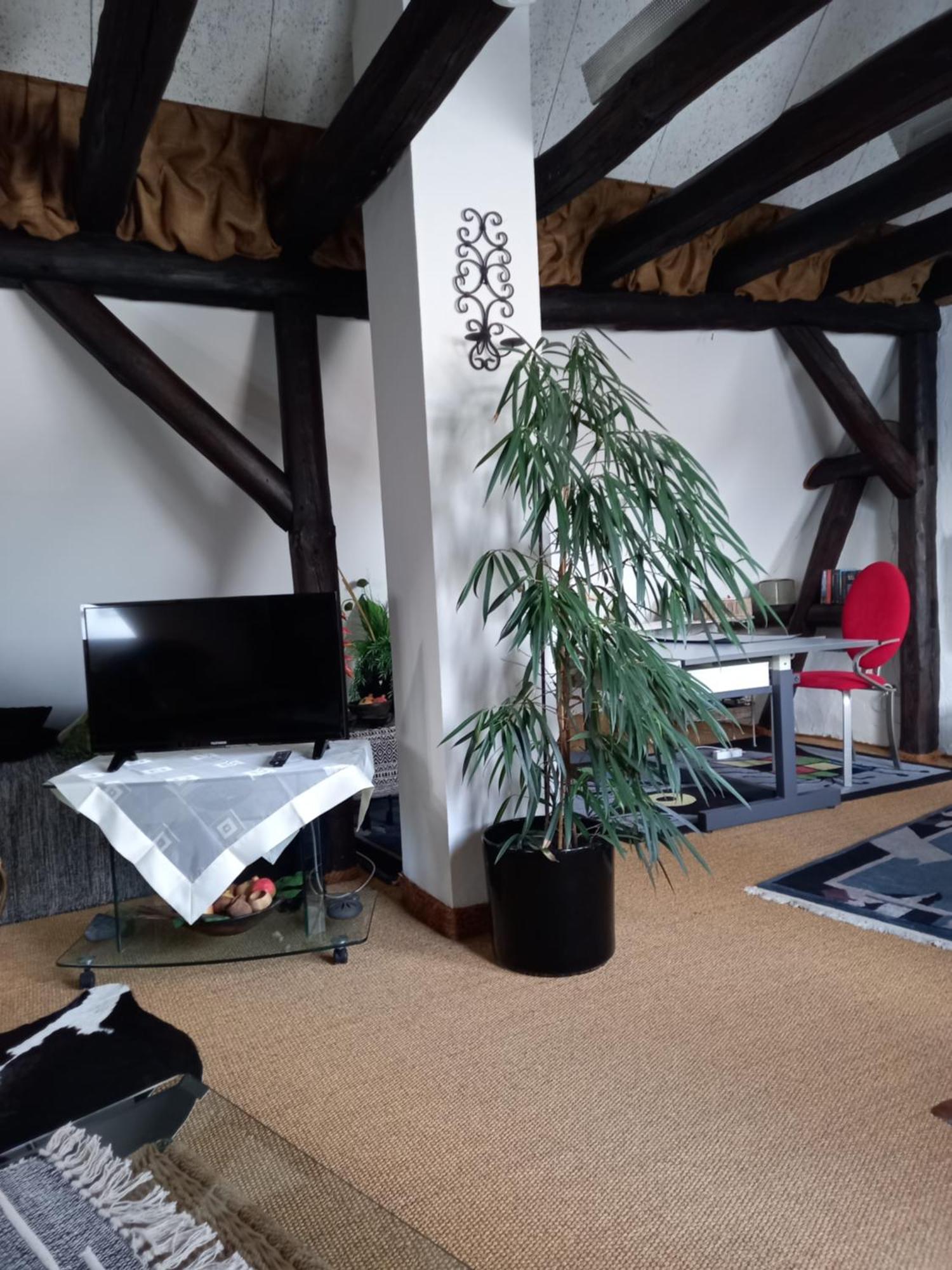 Loft Ziegelei Apartment Modautal Luaran gambar